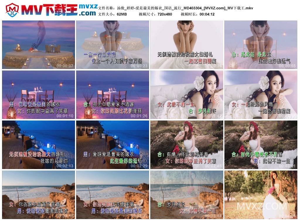 汤俊_婷婷-爱是最美的嫁衣_国语_流行_MD403304